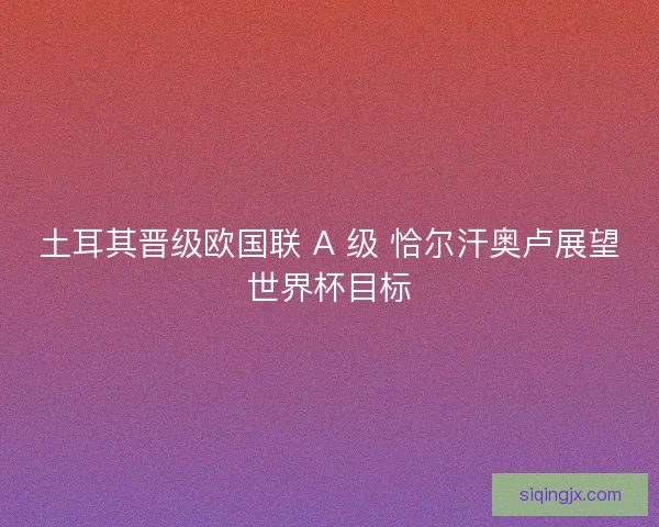土耳其晋级欧国联 A 级 恰尔汗奥卢展望世界杯目标