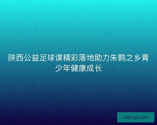 陕西公益足球课精彩落地助力朱鹮之乡青少年健康成长