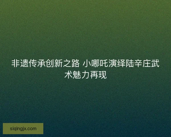 非遗传承创新之路 小哪吒演绎陆辛庄武术魅力再现