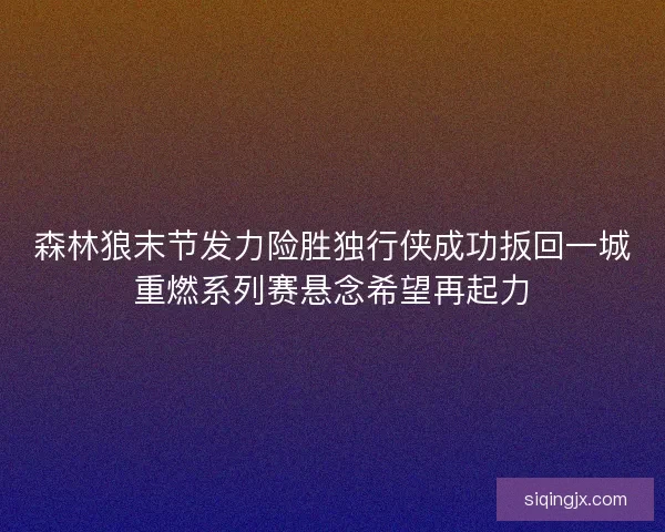 森林狼末节发力险胜独行侠成功扳回一城重燃系列赛悬念希望再起力 森林狼末节发力险胜独行侠成功扳回一城重燃系列赛悬念希望再起力